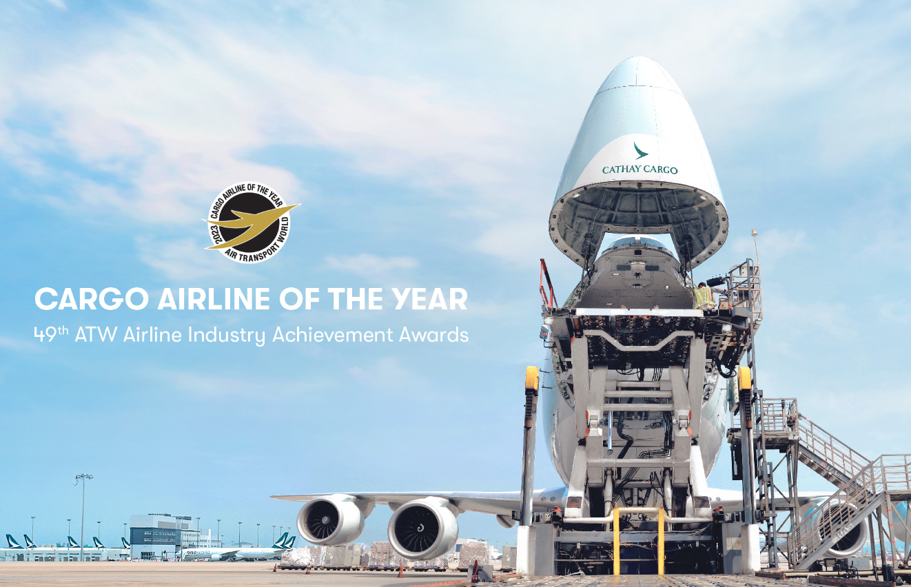 东莞空运货代公司-专业的空运物流解决方案提供商