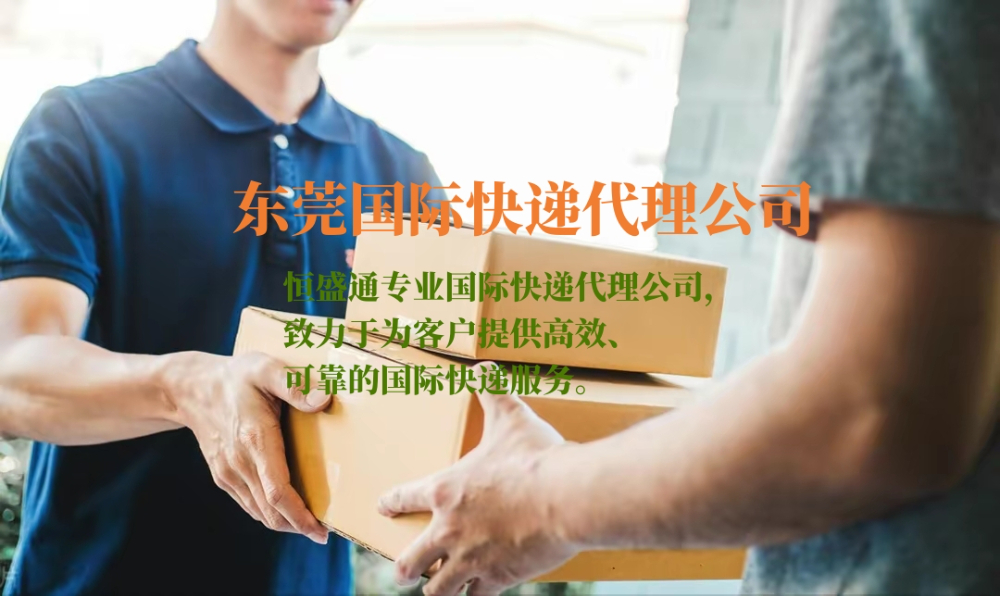 东莞国际快递代理公司